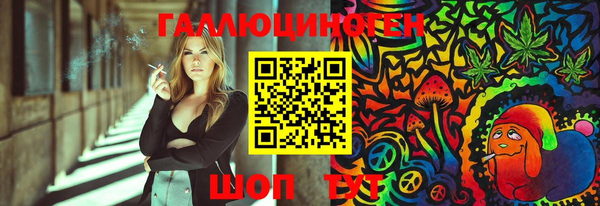 Псилоцибиновые грибы Psilocybe Набережные Челны